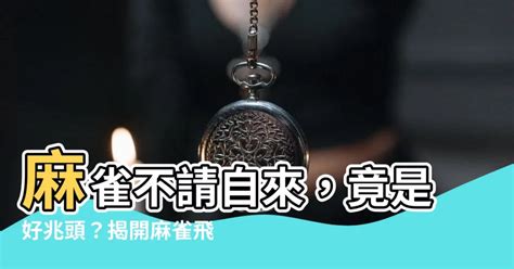 麻雀飛進家裡|【麻雀飛到家裡】麻雀飛進家有啥神奇預示？竟和財運。